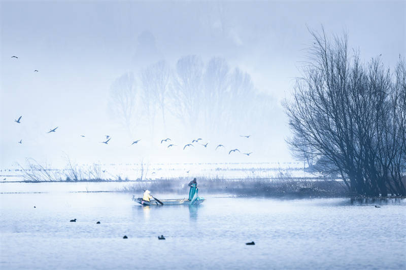 大理开启大理之旅,冬季的大理适合旅游吗