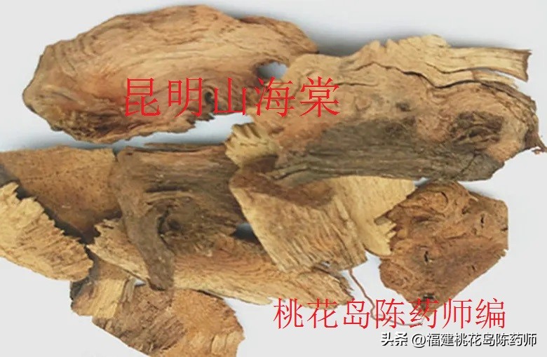 有毒的植物和解毒的草药,植物有毒药材名称大全