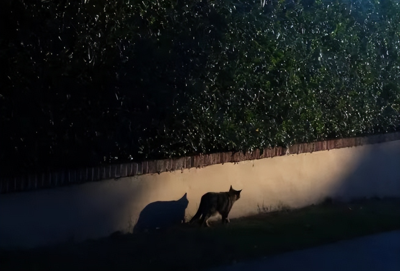 我和老公冷战该怎么缓和关系,和老公冷战怎么去化解