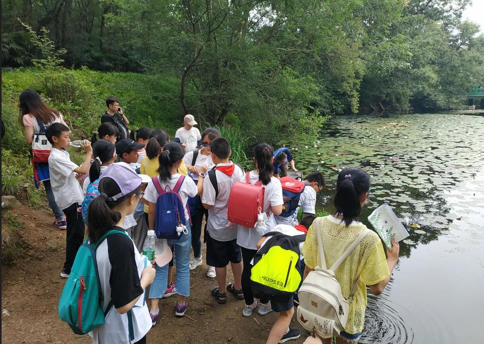 南京农业大学实验小学在哪里,2020南京农业大学实验小学