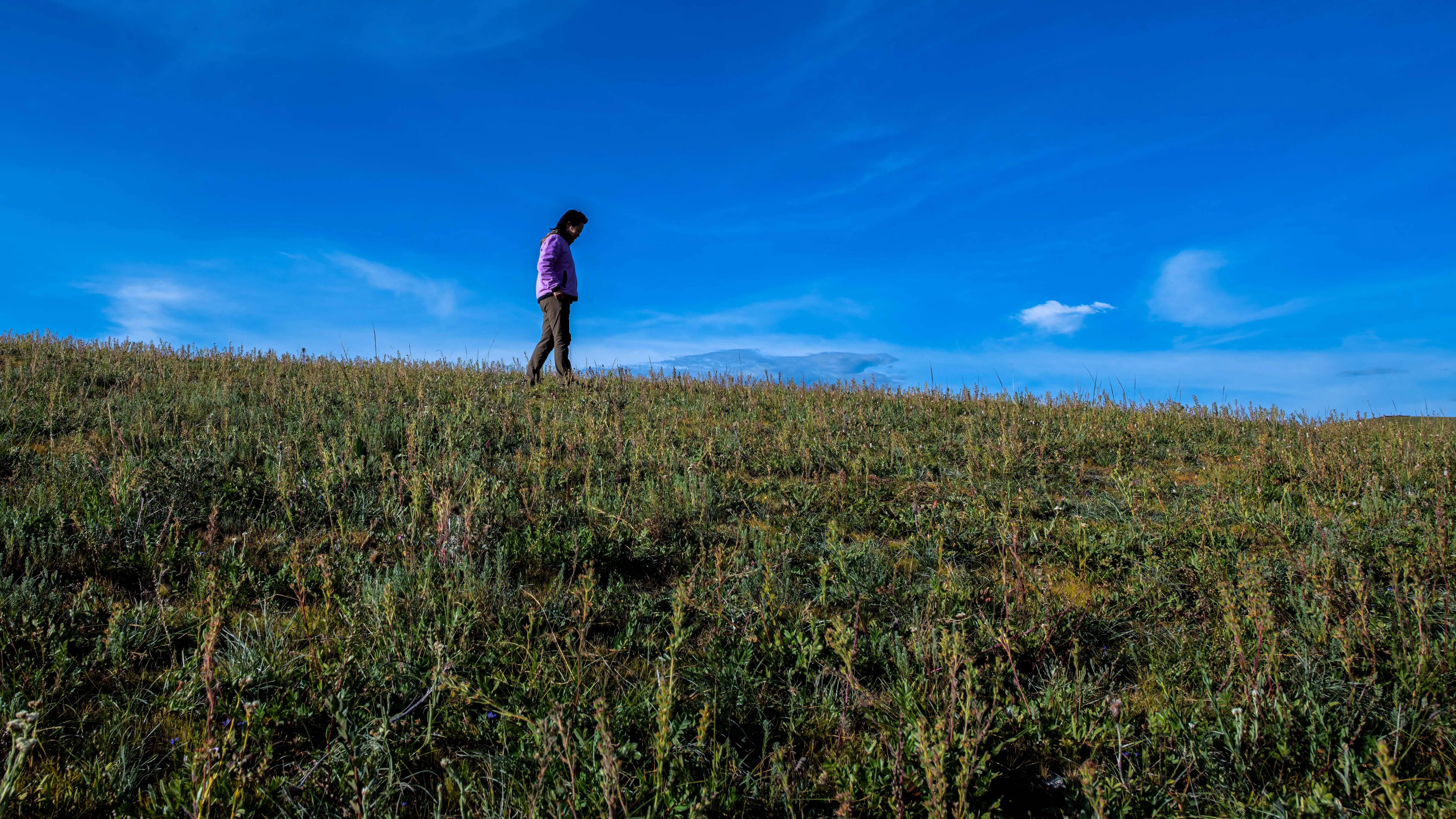 甘孜州最美风景在路上,金秋的甘孜州