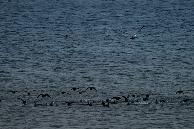 江苏常州十大旅游景点,江苏十大特色景点