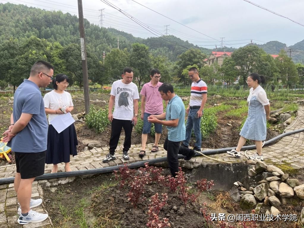 乡村振兴西瓜大棚种植项目方案,大棚葡萄反季种植乡村振兴