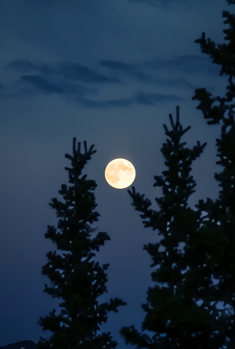 中元节著名诗句,中元节诗词全集