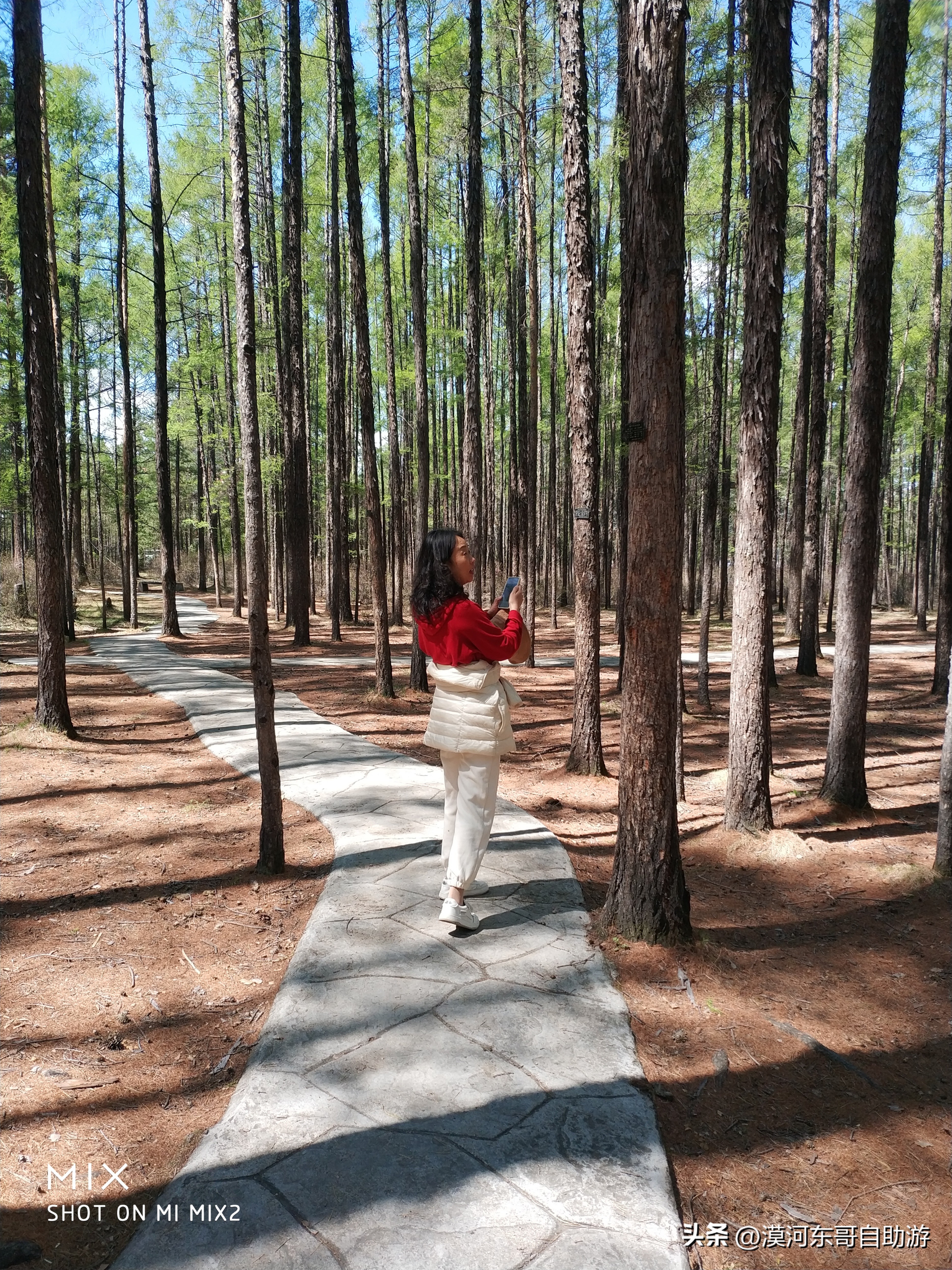 带你去看杜鹃花完整版,漠河旅游攻略一览表