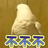 “一次，4500元！”全国各地求捐精，给谁用？真不会乱套吗？