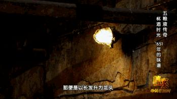 五粮液酒的精辟句子,五粮液的十年经典