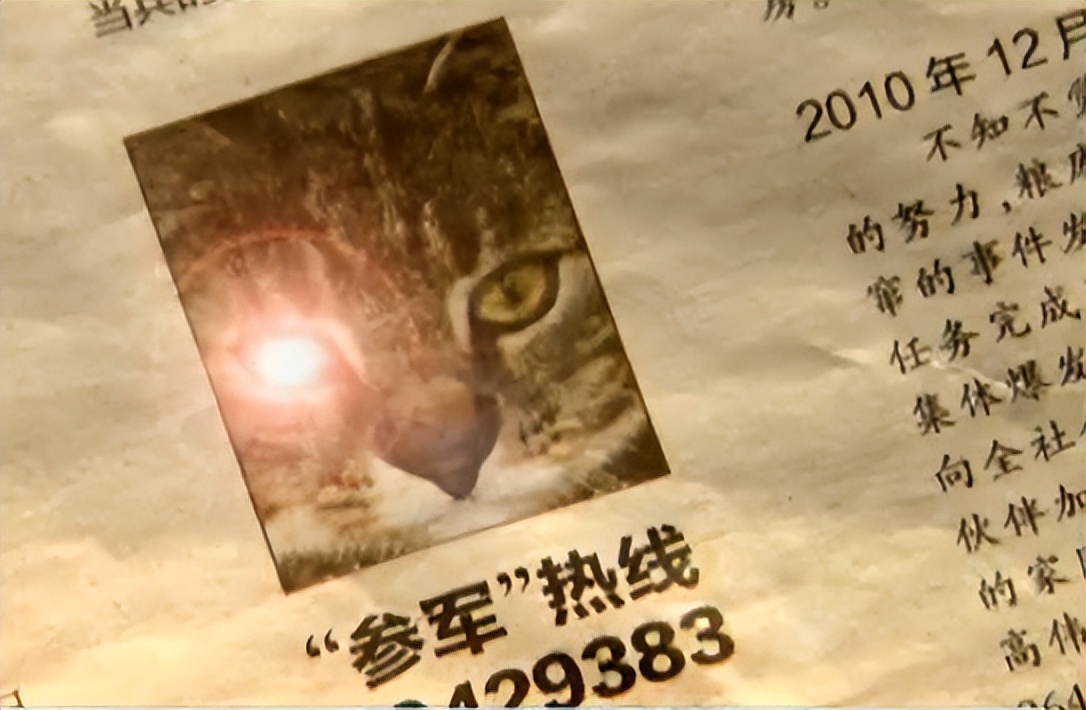 辽宁国家粮仓遭鼠患，员工训练流浪猫当兵入伍，厂内上演猫鼠大战