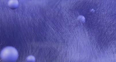 时髦精必备单品,时髦精必入款