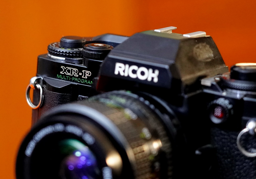 又有颜值又有性能的单反相机,十大性价比最高的单反相机