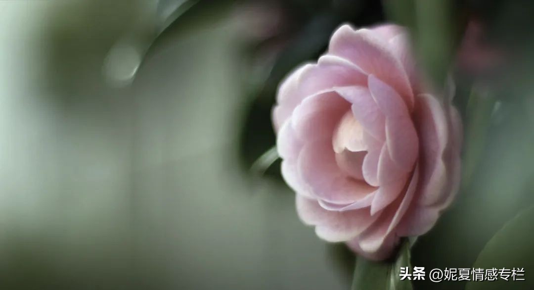 过了40岁千万不要再打工,五十岁以后一定要努力赚钱