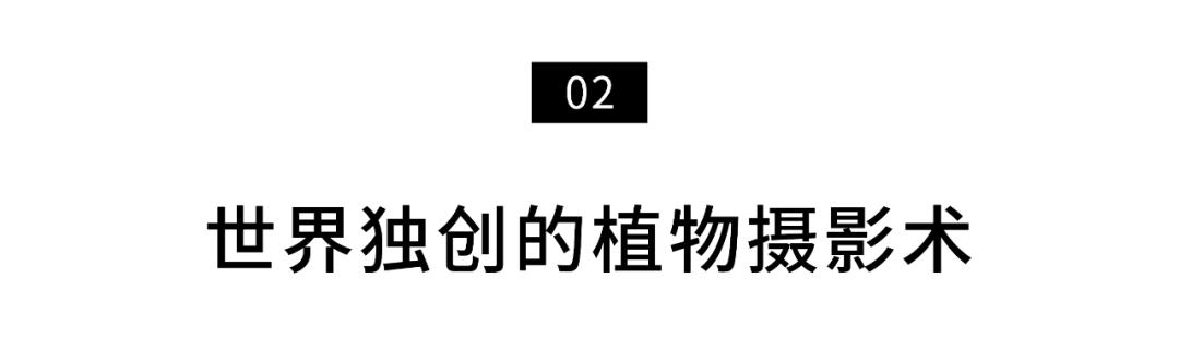 96岁还在奔波工作，这老爷子做出了今年9.8分神片