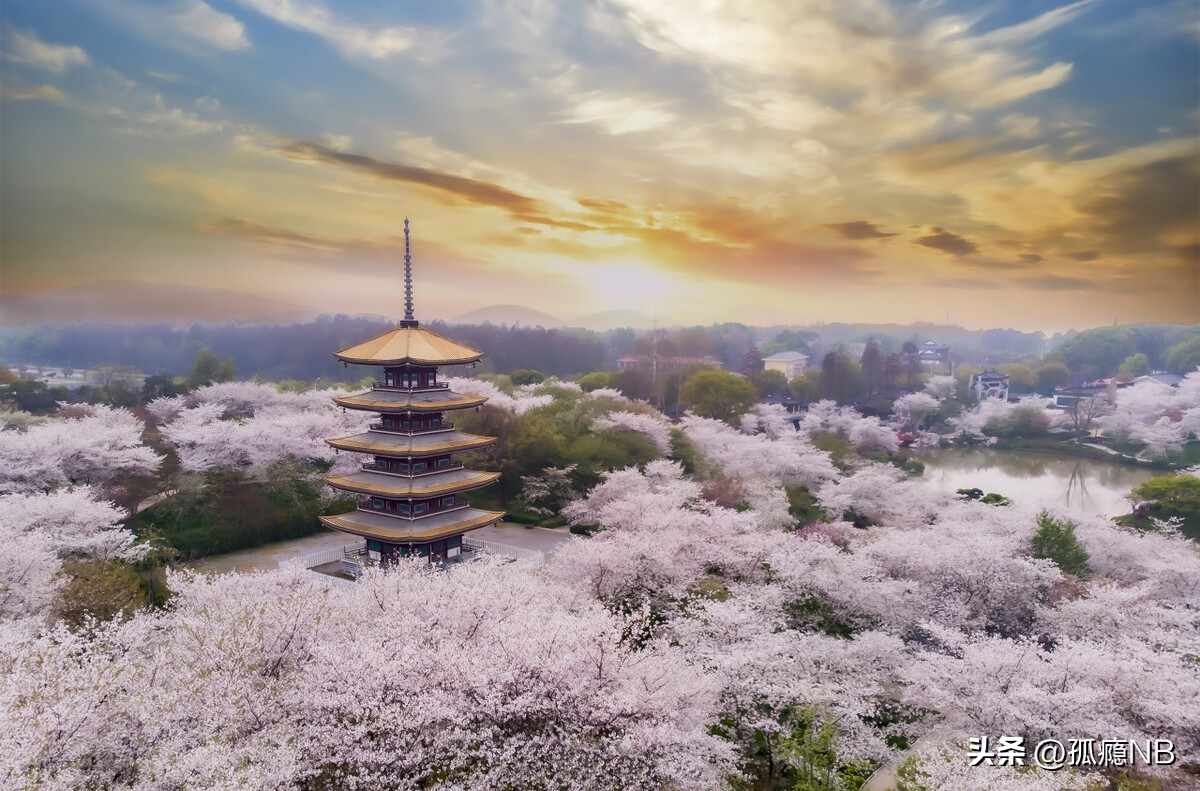 武汉旅游攻略大全,武汉旅游攻略三天两夜酒店