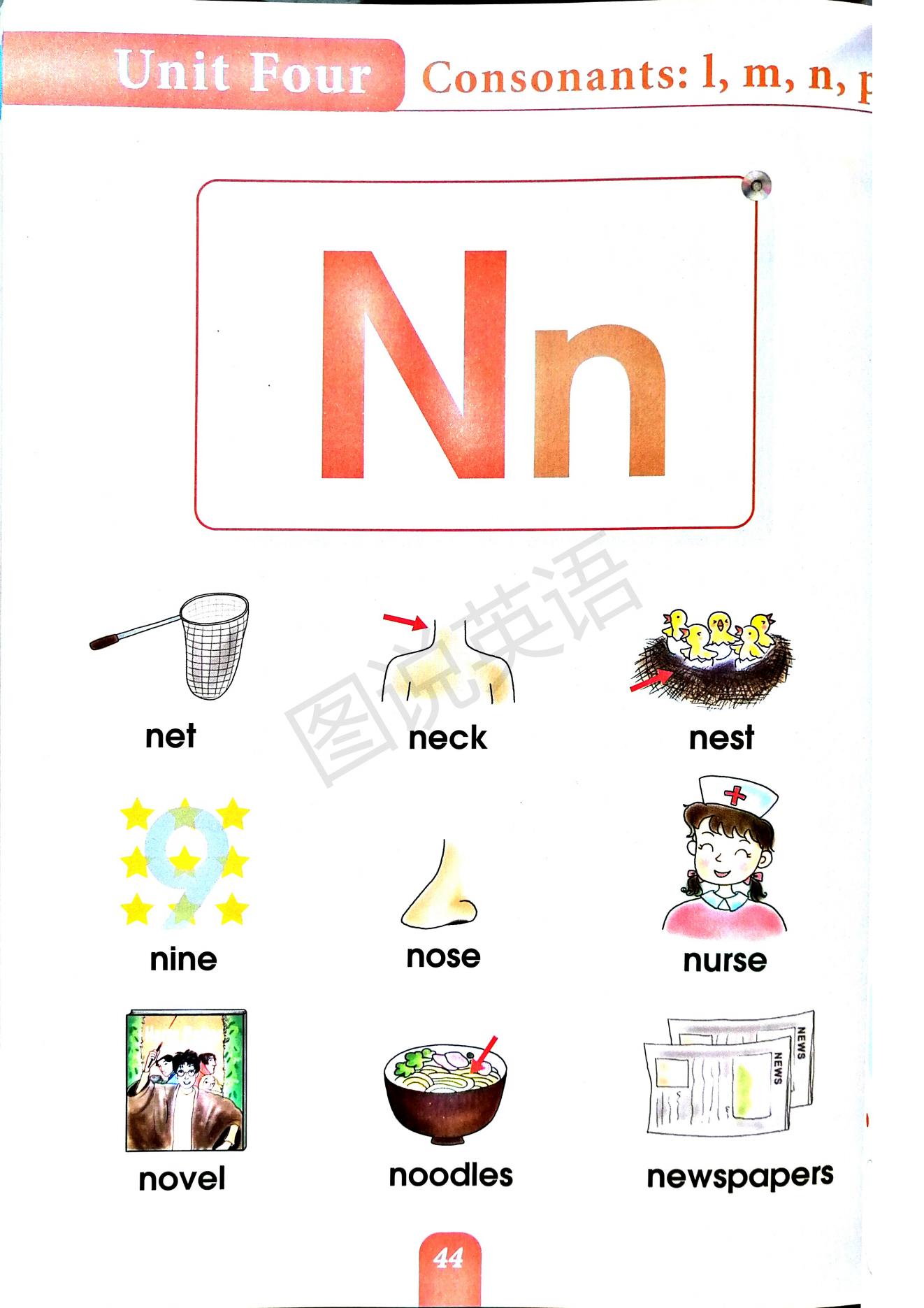 一口背,一口学会国际音标