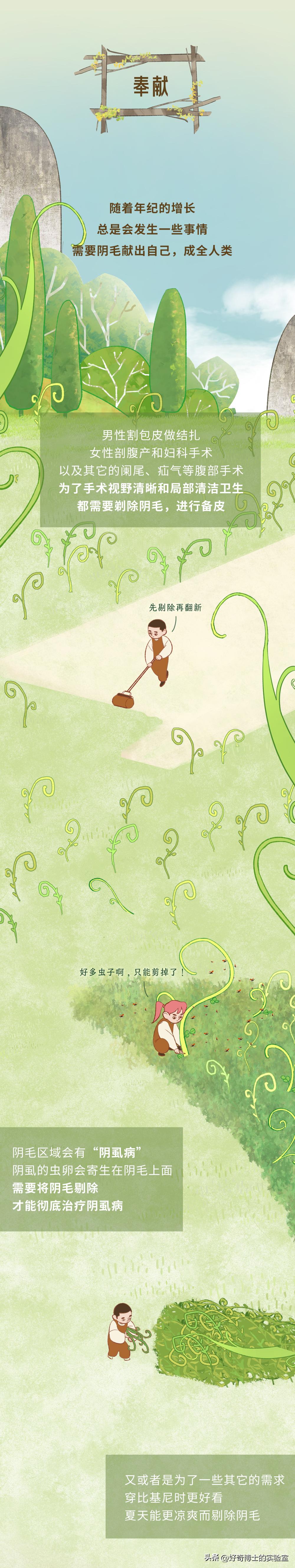 为什么头发浓密眉毛却很稀少,为什么头发是直的体毛是卷的