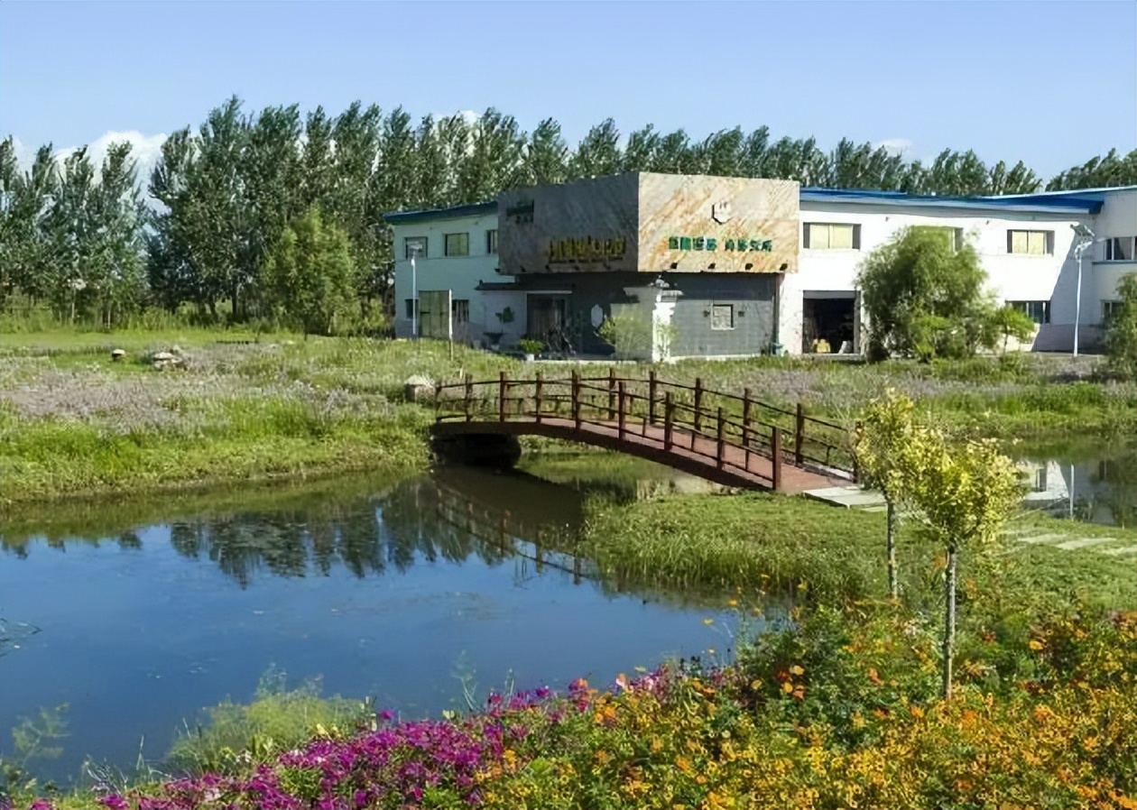 人这一辈子总得来一趟,人这一辈子一定要来日本