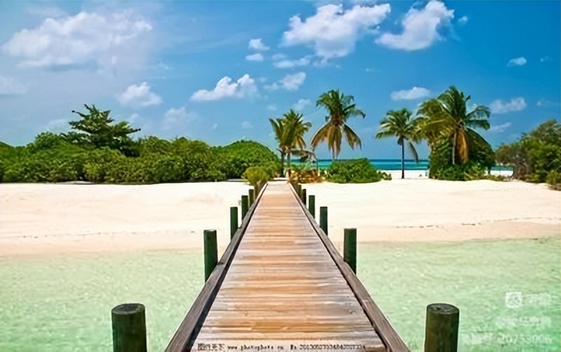 诗词中国135期征稿,诗词中国大赛获奖诗词作品