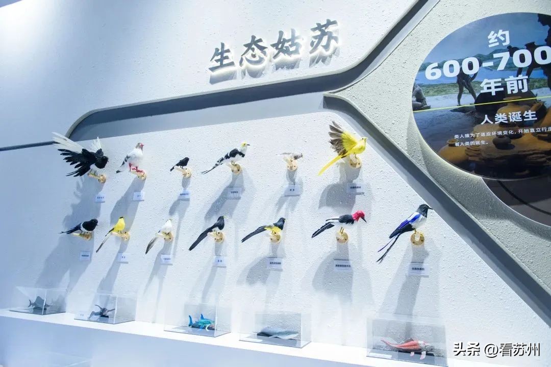 苏州垃圾分类宣教体验中心开放,苏州垃圾分类场