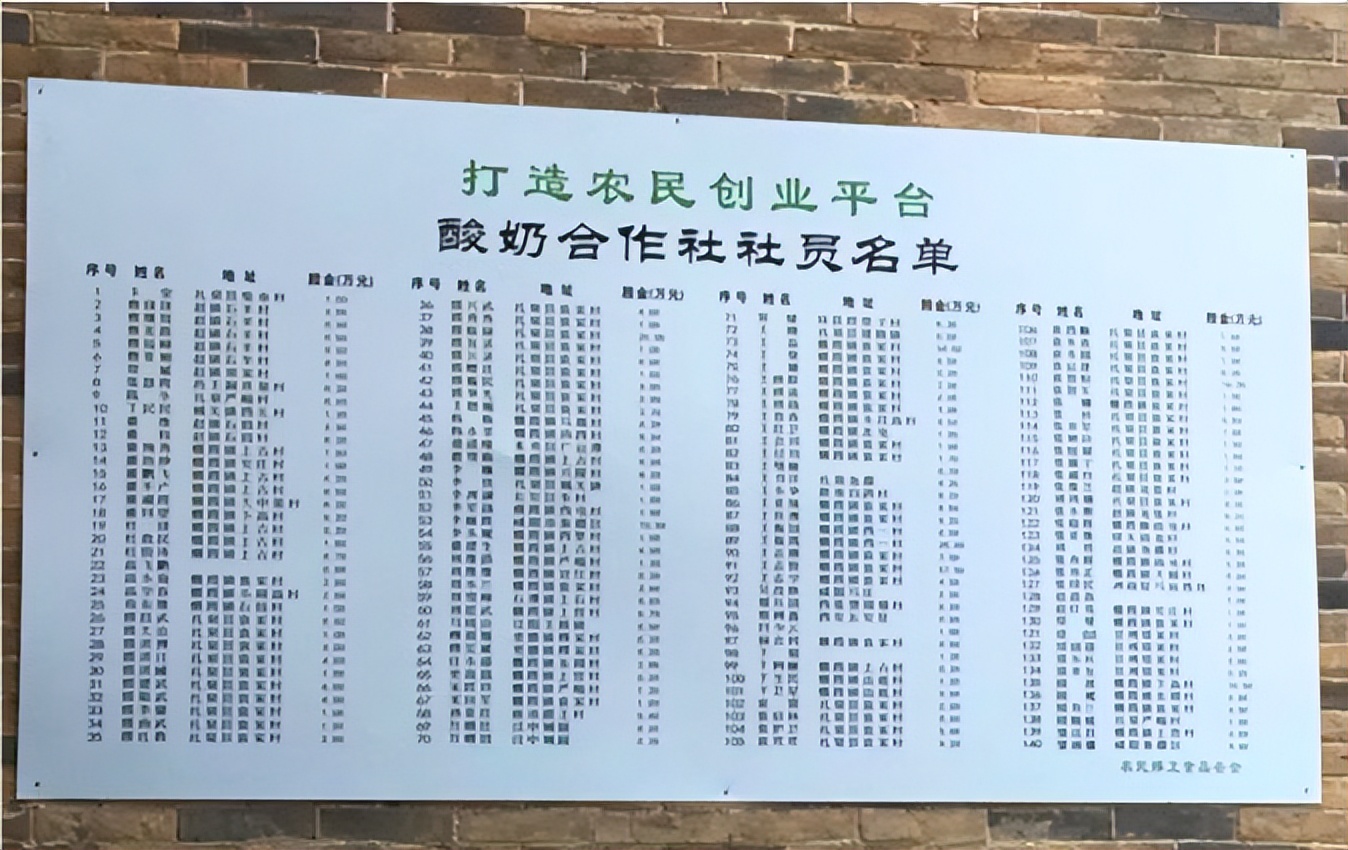 村党支部领办合作社前期资金,村党支部领办合作社运行流程图