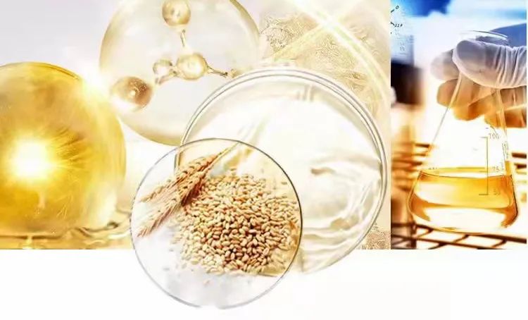 淘米水让白发变黑发吗,淘米水洗发水真的能让白发变黑吗