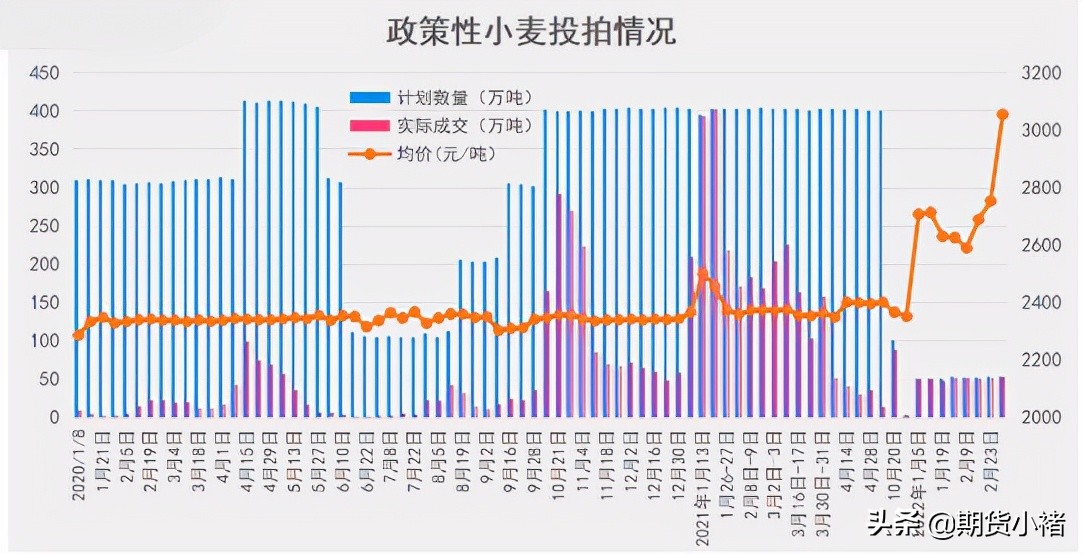 玉米市场购销活跃未来价格可期,玉米期货供需最新消息