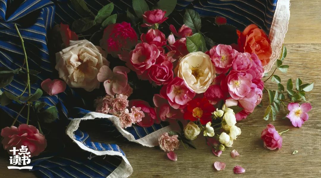 如果有人不喜欢你无需翻脸,发现有人不喜欢你无需翻脸