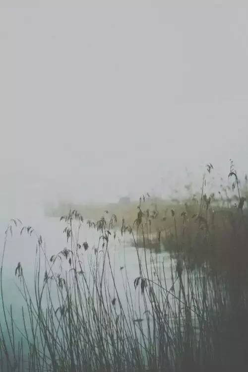 中国自古以来最好的十首诗词,中国水平最高的十首诗词