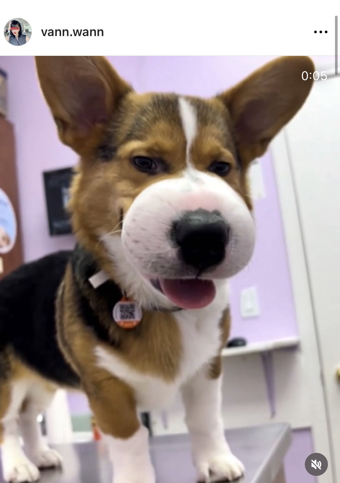 萧亚轩黄皓被曝复合,萧亚轩和黄皓恋情回顾