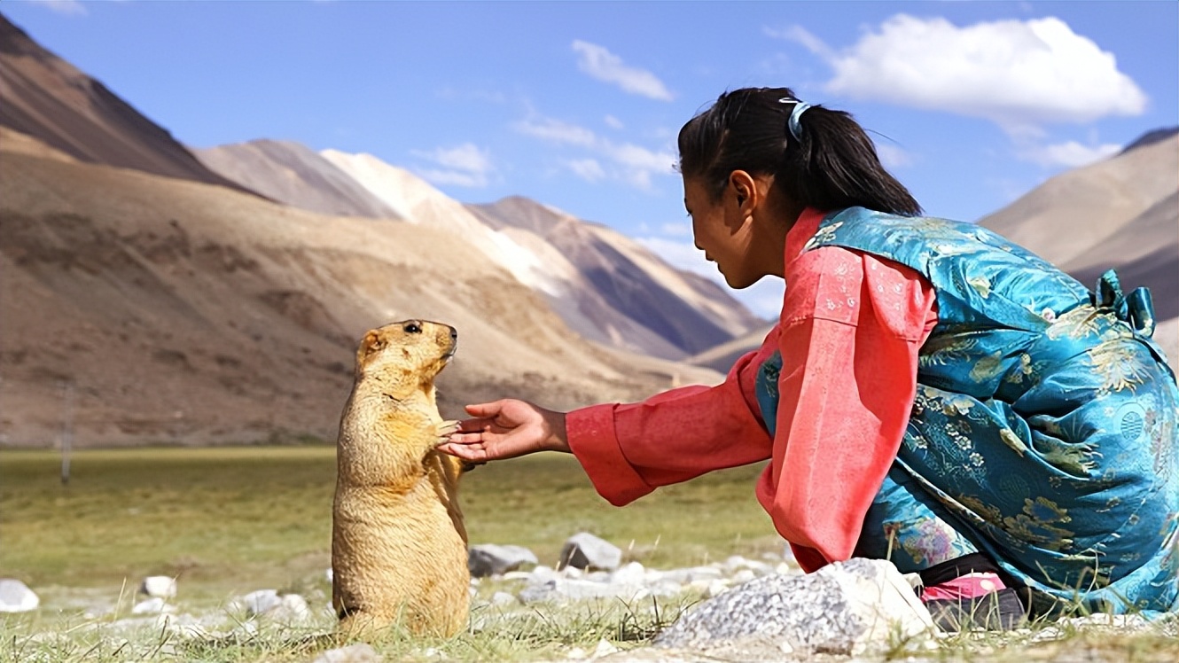 尼姑苦行僧徒步行走,一个出家尼姑的艰辛出家经历