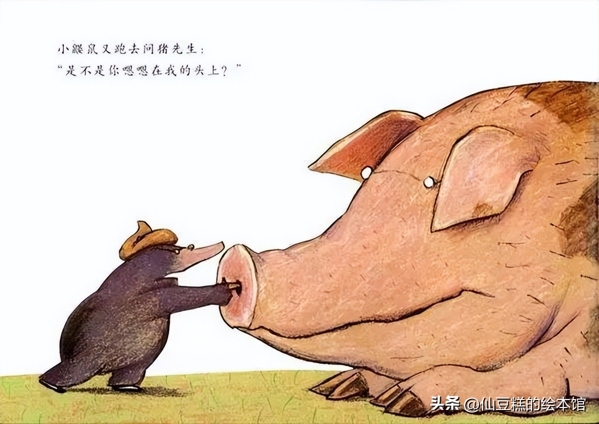 绘本阅读引导小朋友学会面对生气,适合2-3岁小孩阅读的绘本