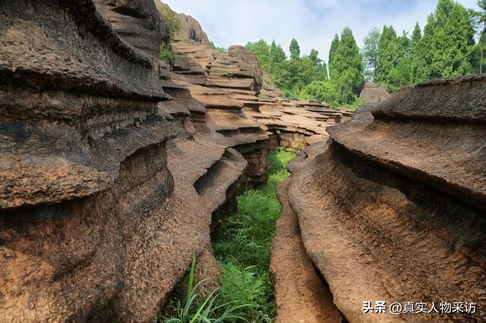 赌博害到多少家庭,赌博害了多少人害了多少个家庭