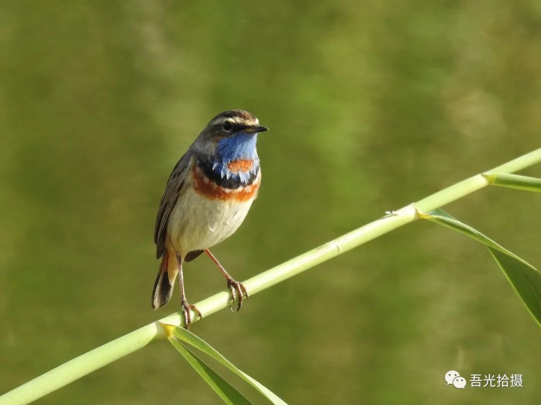 砂石坑什么时候挖出来,砂石石槽图片
