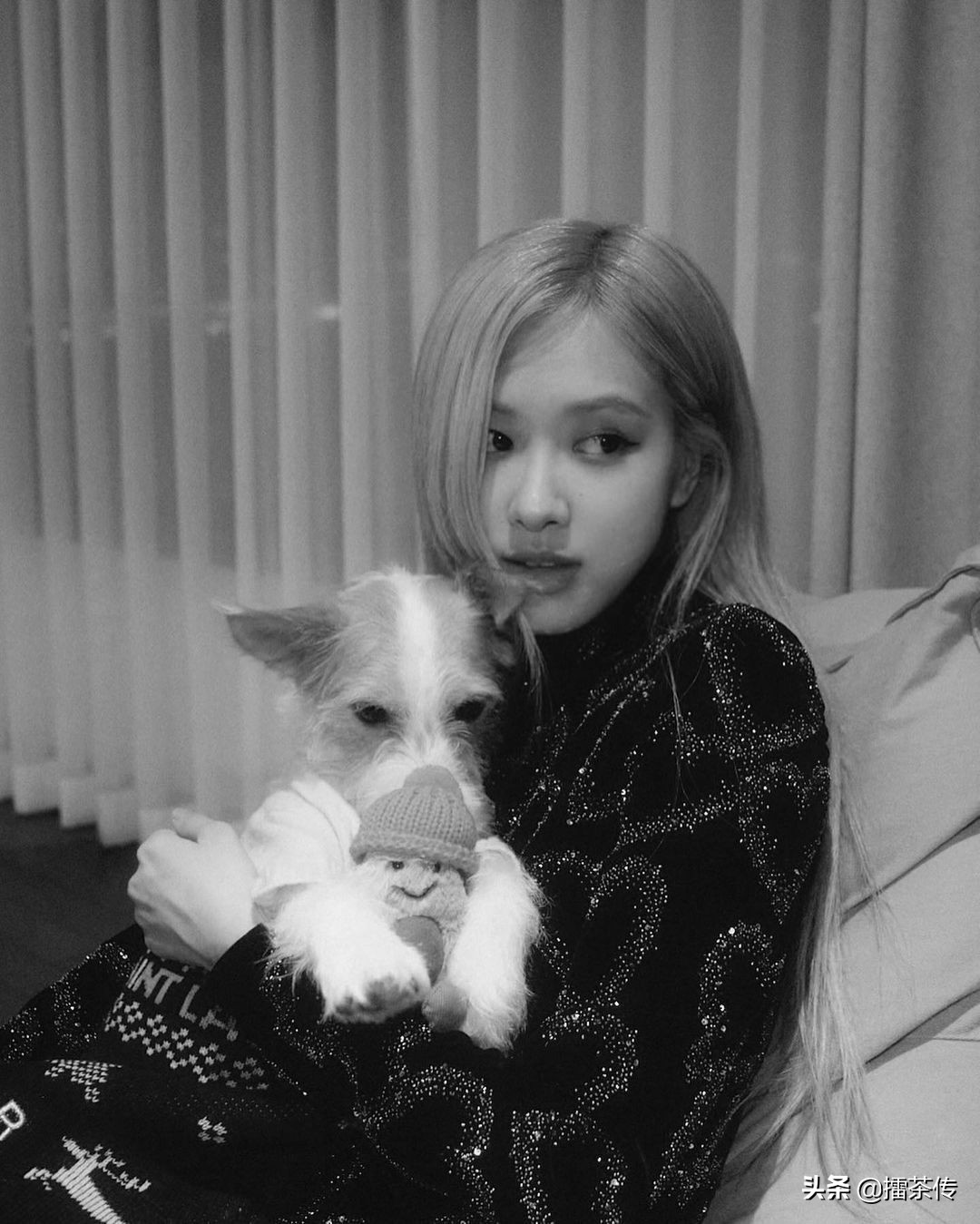 周杰伦音乐玩具,周杰伦玩具熊