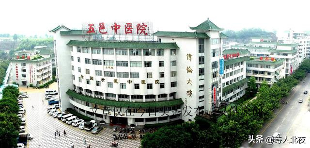 广东省第二中医院黄埔医院,广东前十中医医院