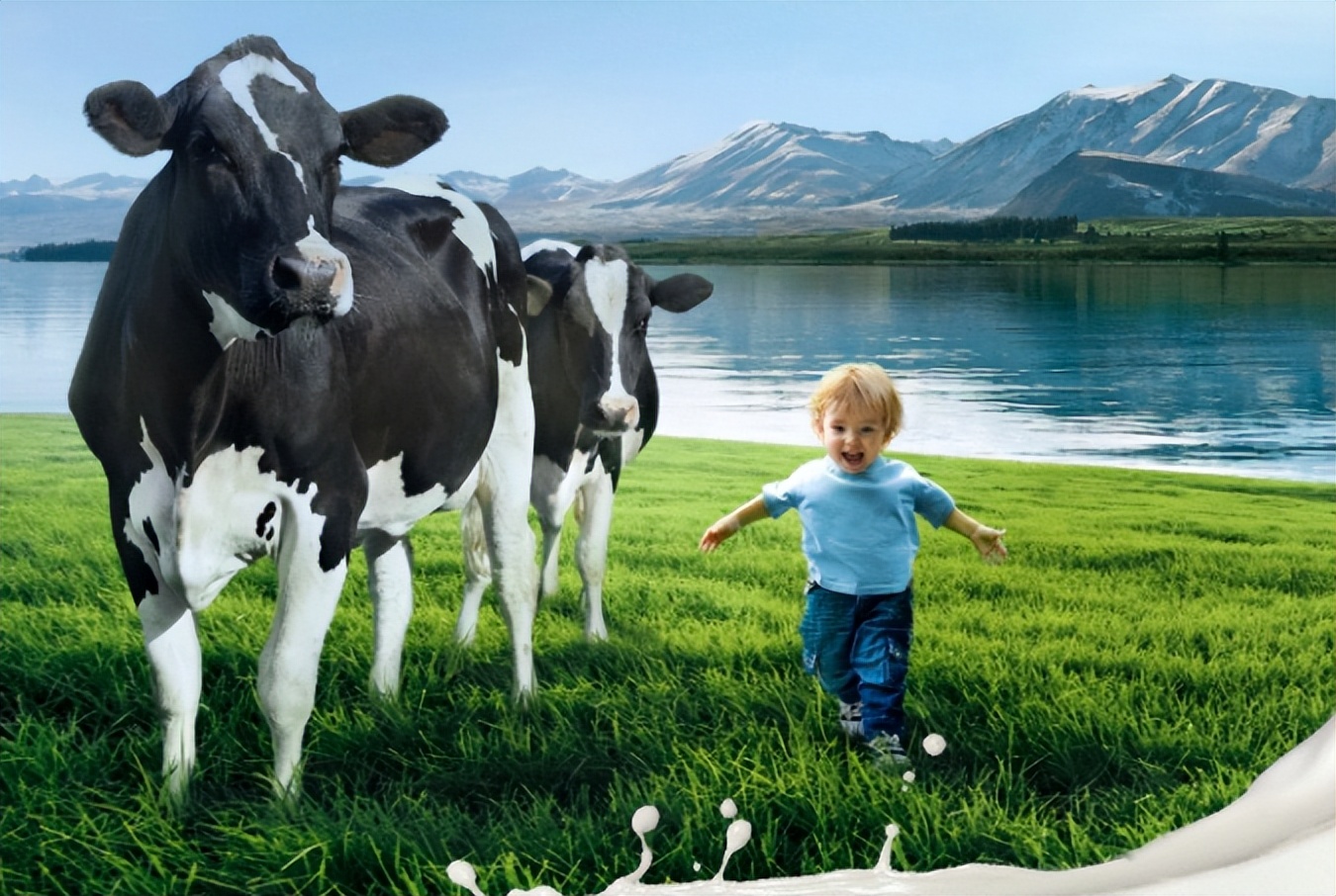 进口奶粉排行榜10强奶粉测评,国内的奶粉好还是进口的奶粉好