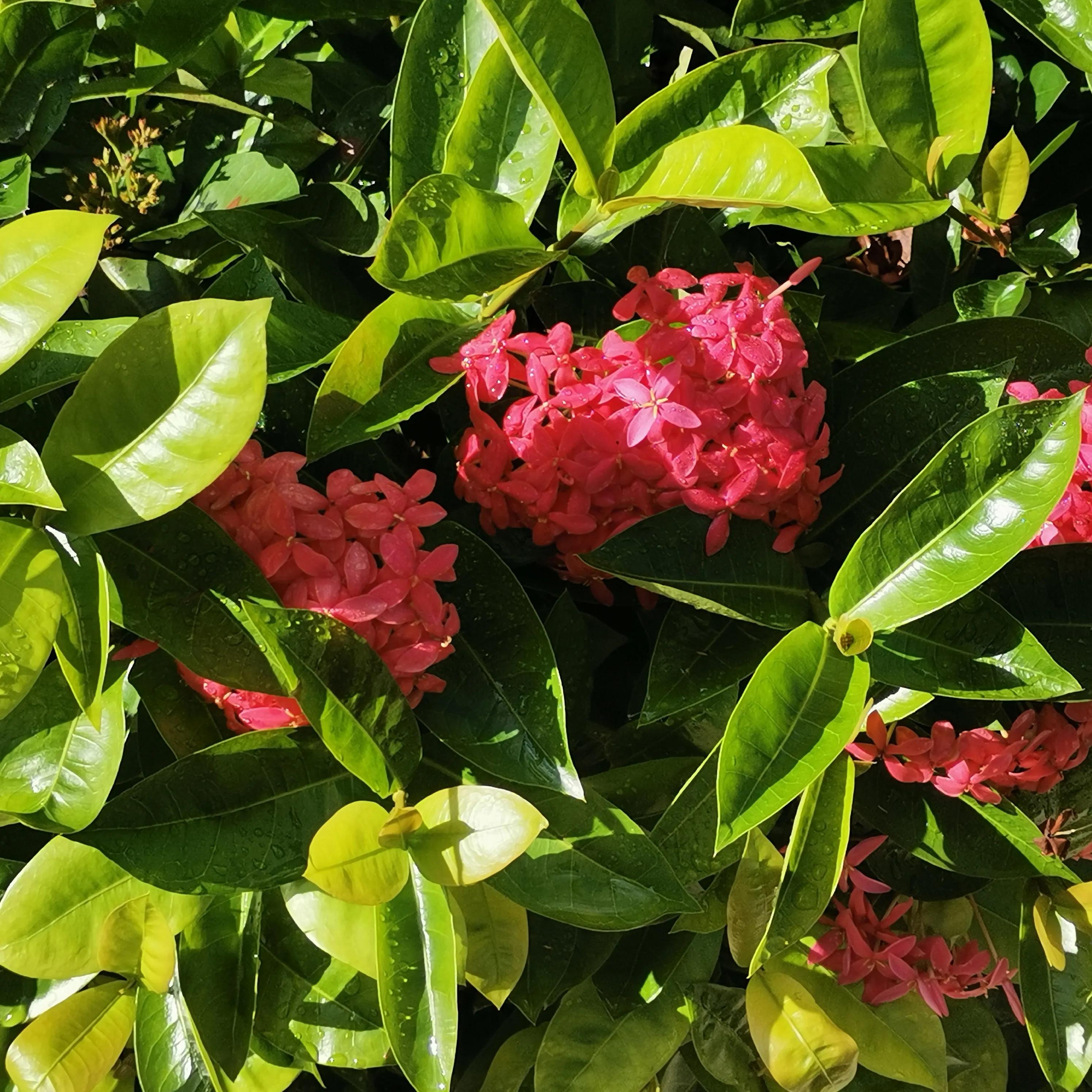风雨过后见彩虹励志八字句子,风雨过后见彩虹文案句子