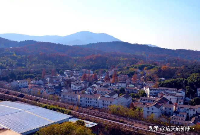 迈皋桥简介,迈皋桥现在怎么样