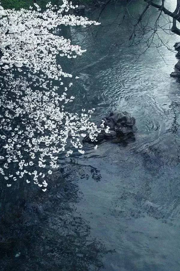 值得收藏的十首中国诗词,中国史上最强三十首诗词排行