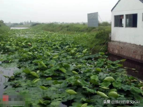 上海自驾西山旅游攻略,苏州东山一日游自驾游最佳路线图