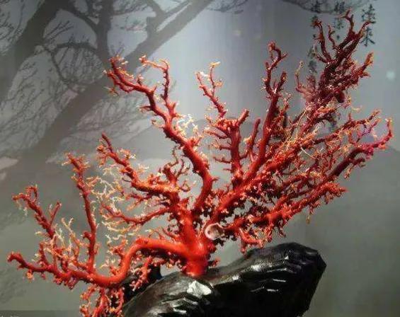 国内玉石排行榜前十名全揭秘,全国各地玉石品种