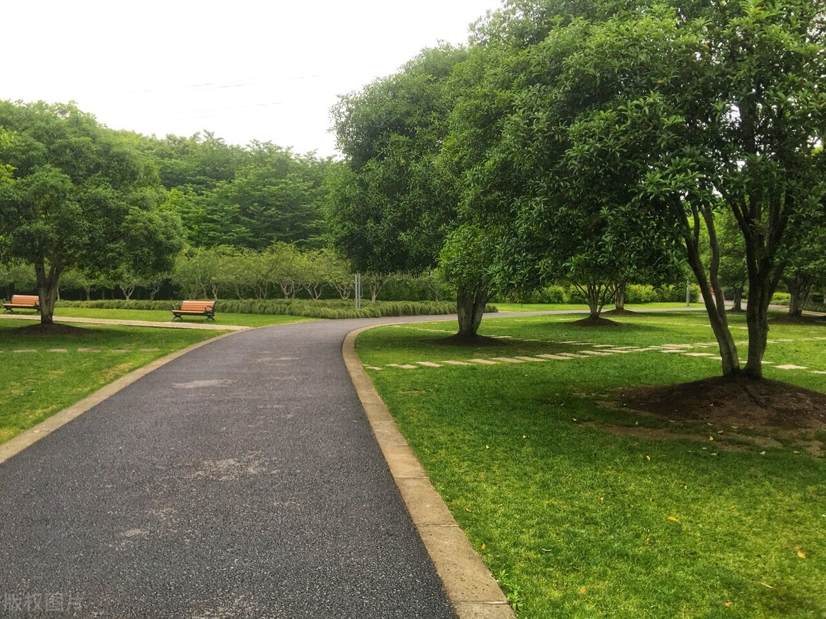 上海踏青2022,上海踏青最佳景点2021