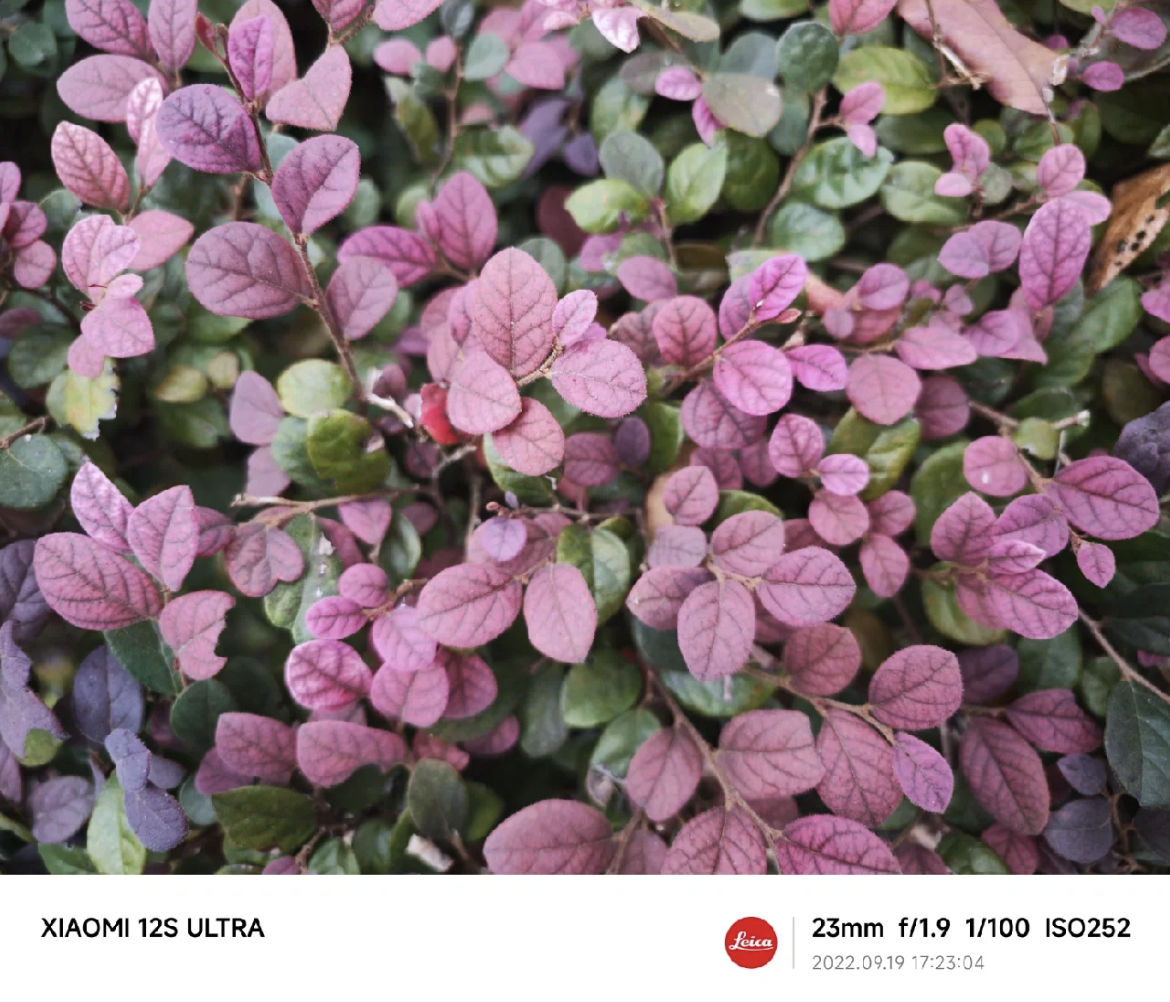 买手机推荐拍照效果好,买手机哪款拍照好