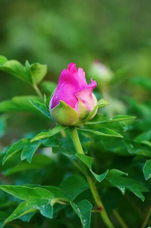 两个各自有家的人怎么处理感情,两个有家的人相爱怎么相处