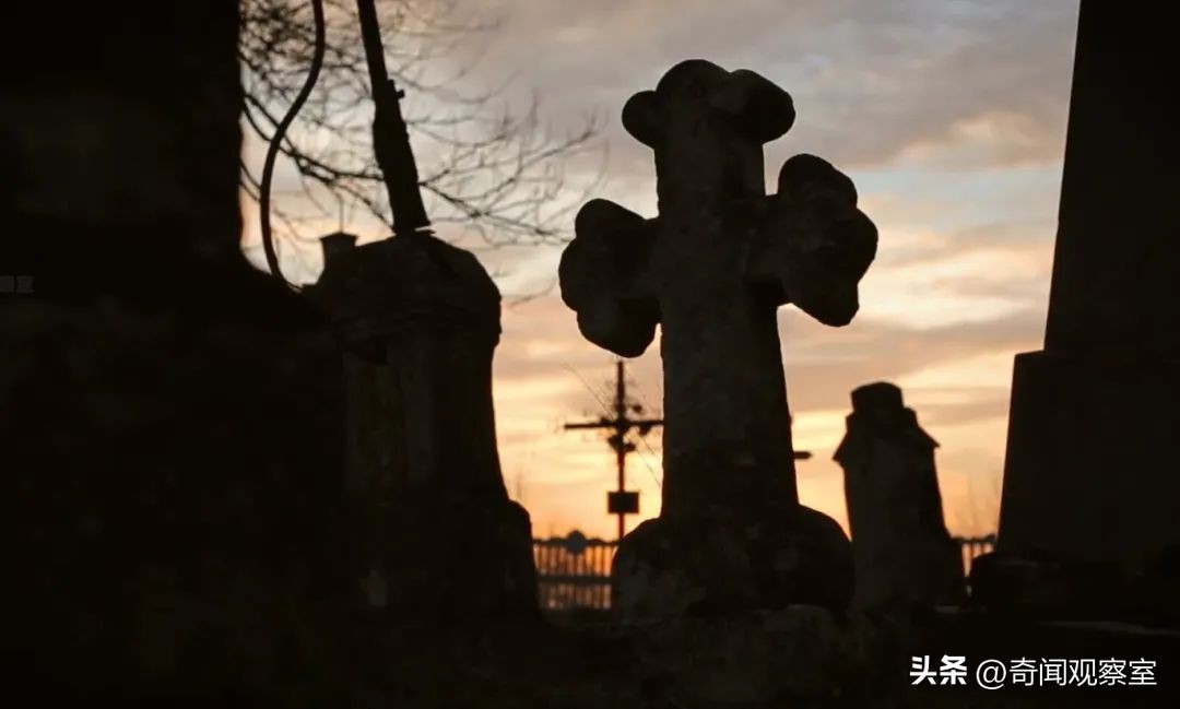 *底卧**与杀手的惊险对碰，热播美剧《BlackBird》背后的真实故事