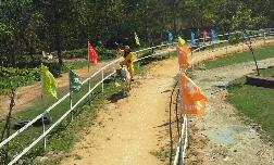 旅游年卡飞熊乐园,水上乐园年卡团购限几人