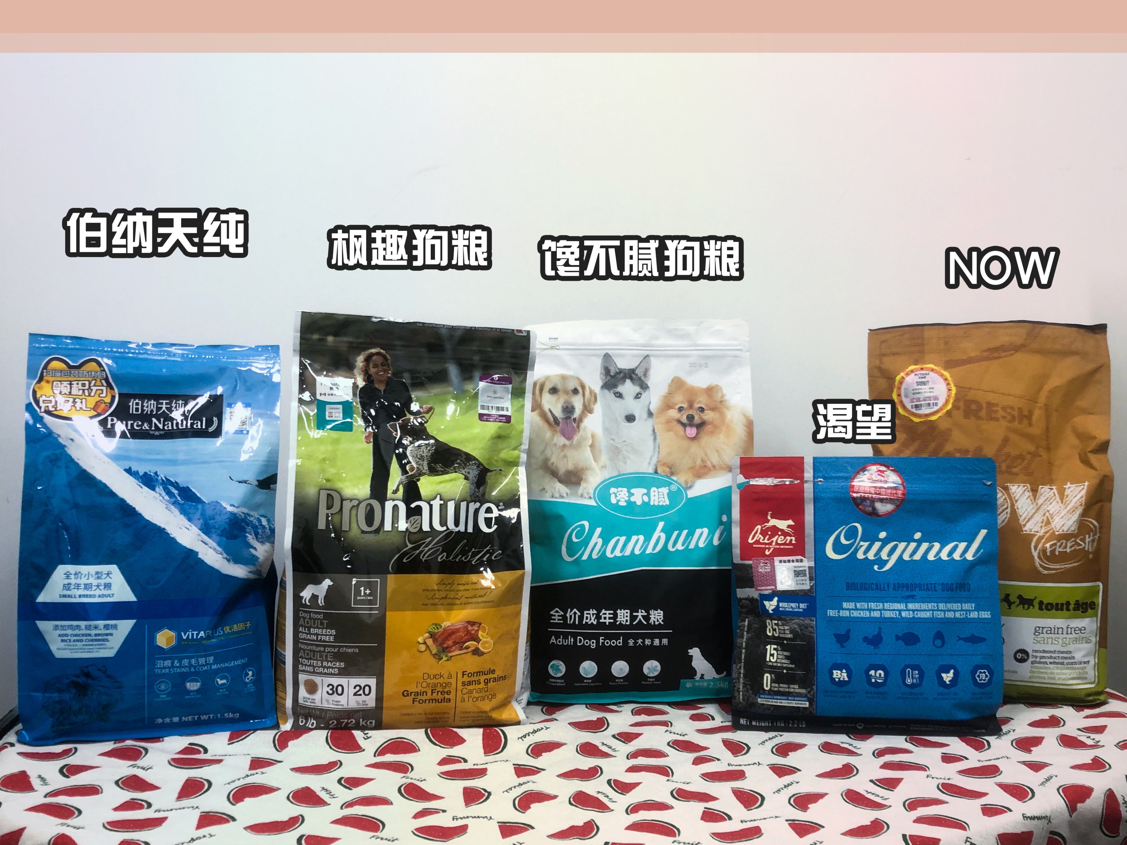 挑狗的诀窍,挑狗五大秘诀