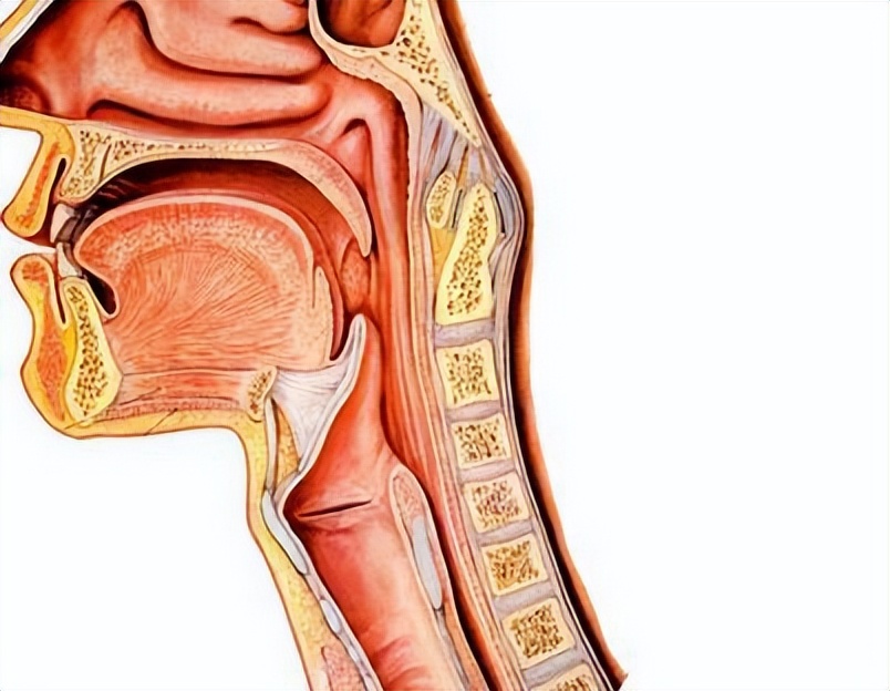 嗓子疼慢性咽炎最快的解决办法,嗓子不舒服干涩是不是慢性咽炎