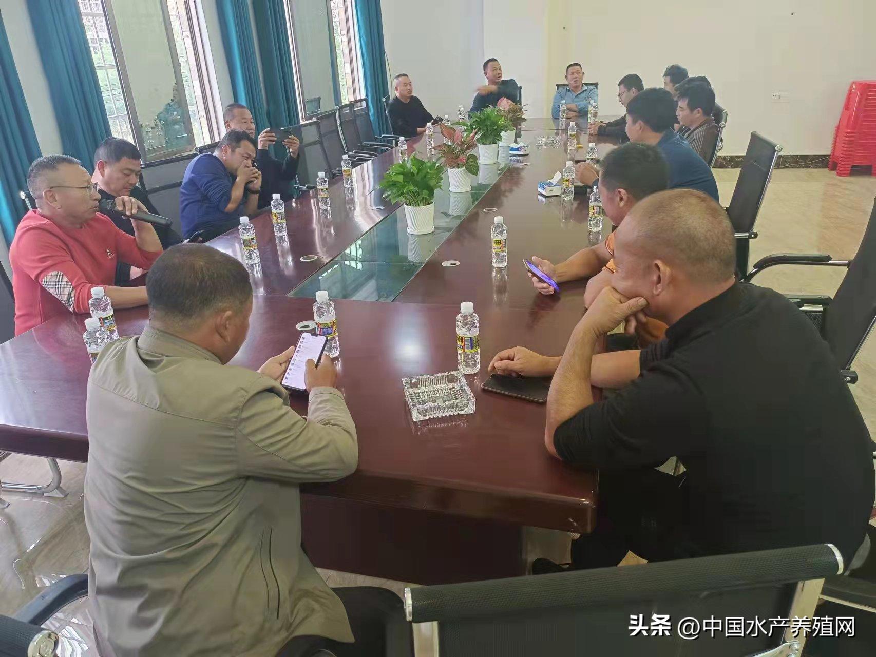 海南罗非鱼产业现状,海南罗非鱼产业