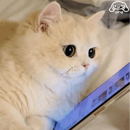 网购搜索关键词,网购关键词搜索