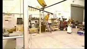 鳄鱼在陆地上追人真实事件,鳄鱼被人追着跑